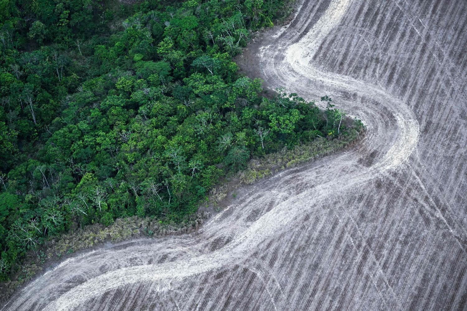Brazil's new climate plan targets deforestation