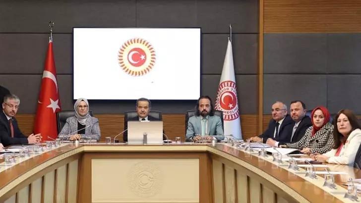 Panel urges new presidential body to combat child abuse in Türkiye
