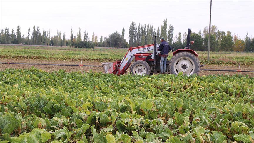 Iran crisis poses new challenges to Turkish agriculture