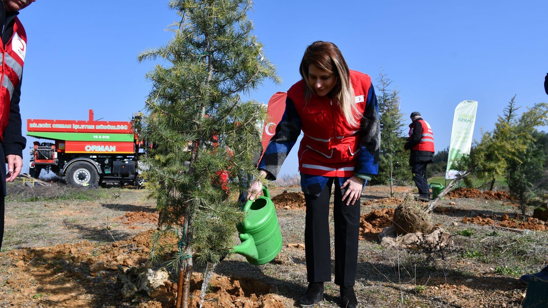 Türkiye targets 600 million saplings in nationwide afforestation drive