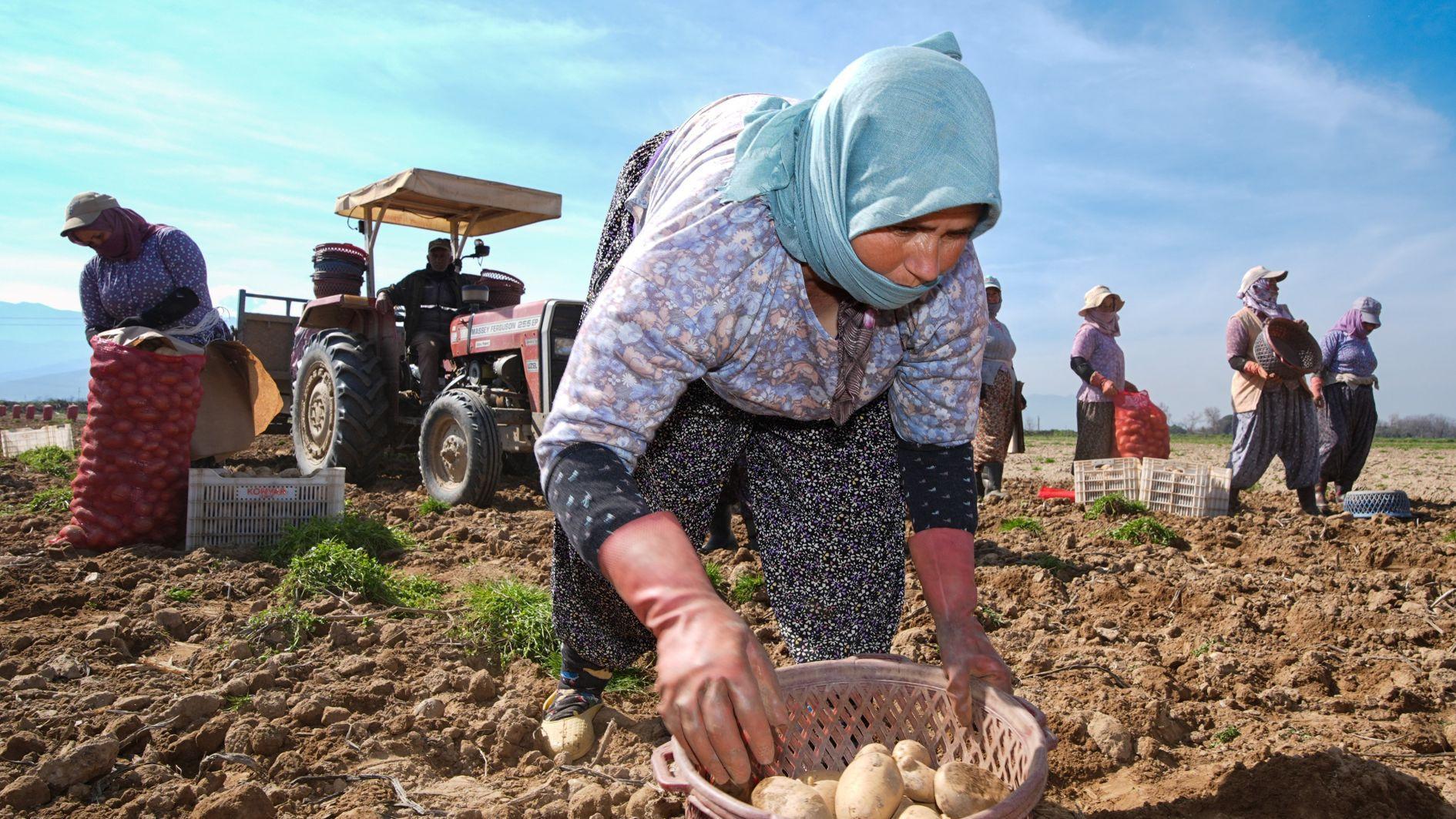 Unemployment in 2025 down to 8.3 percent, lowest in 21 years