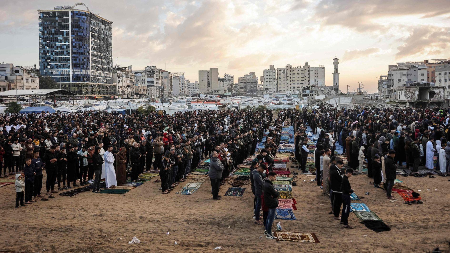 Trump's Gaza envoy urges Hamas to disarm 'without delay'