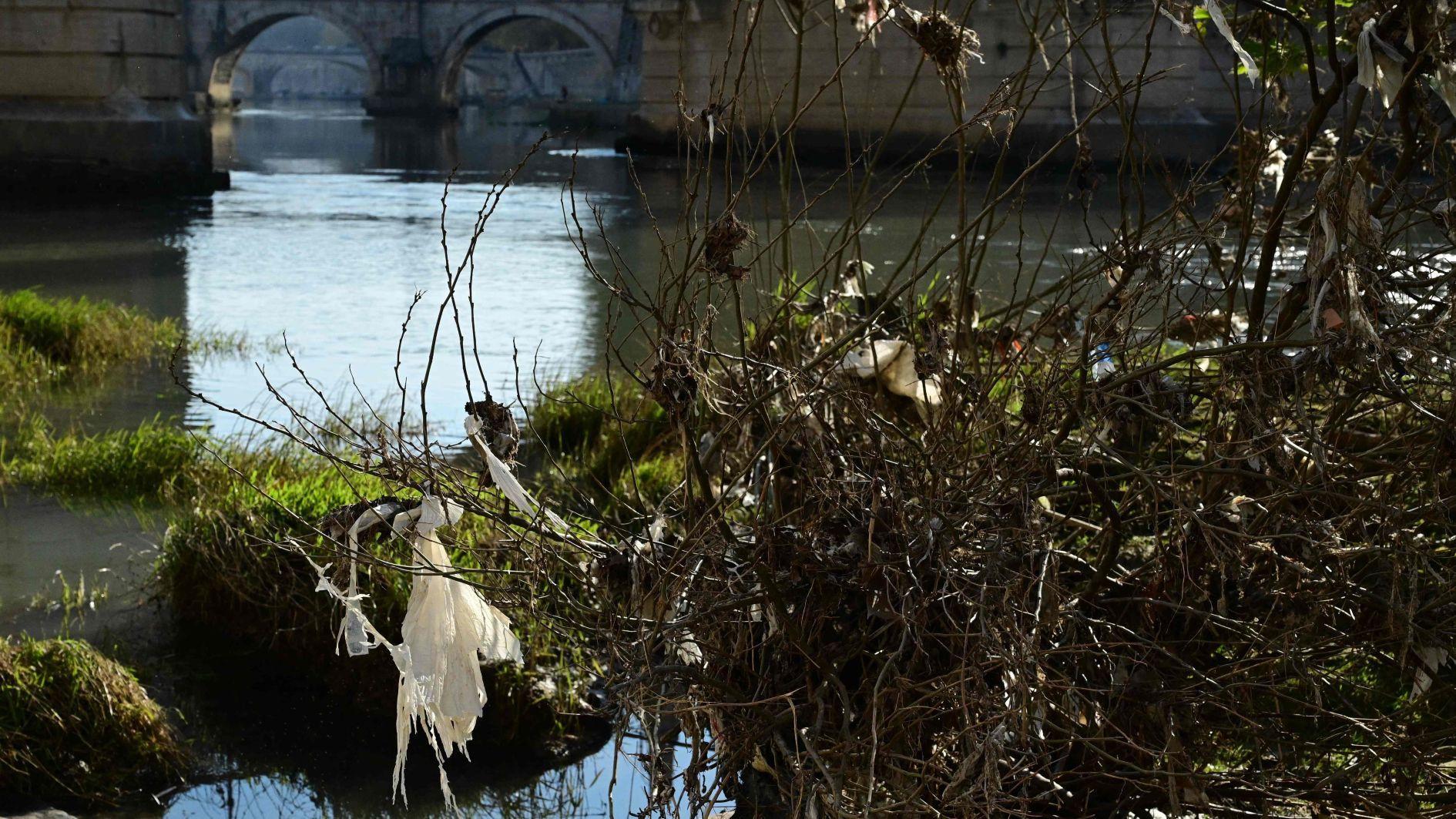 EU urged to broadly restrict 'forever chemicals'