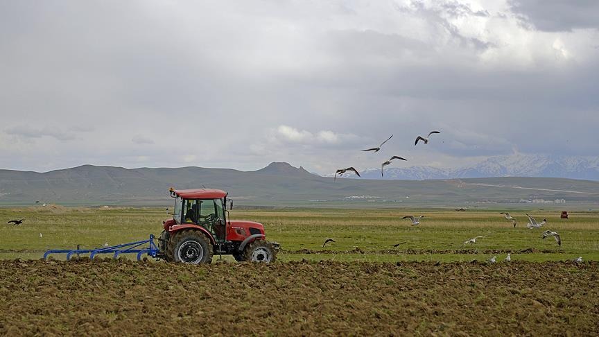 War puts Turkish farmers in a ‘low yield or high cost’ dilemma