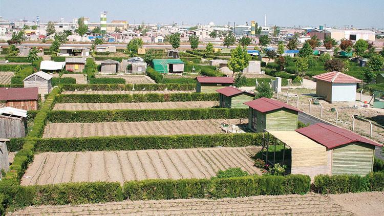 HOBİ BAHÇELERİ VE BUNGALOVLAR İÇİN KURUL İZNİ ŞART HOBİ BAHÇELERİ VE BUNGALOVLAR İÇİN KURUL İZNİ ŞART