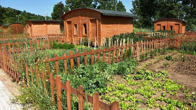 Tarım arazilerine yapılan evler, hobi bahçeleri yıkılacak mı Hobi bahçeleri yasa teklifi son dakika gelişmeleri Tarım arazilerine yapılan evler, hobi bahçeleri yıkılacak mı Hobi bahçeleri yasa teklifi son dakika gelişmeleri