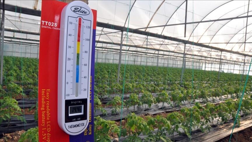 Agricultural frost risk raises concerns for food market