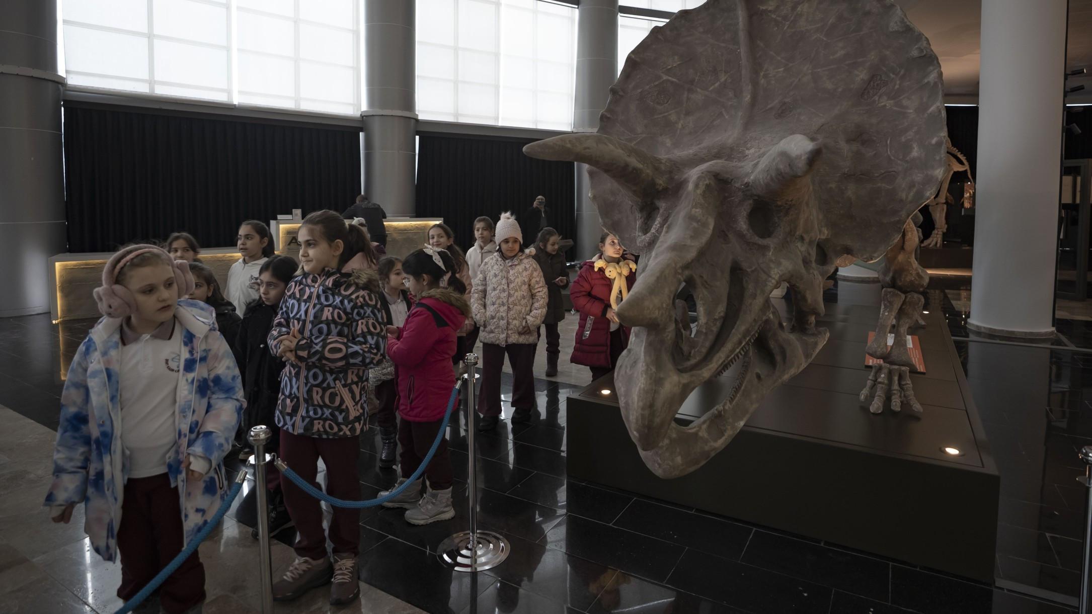 Biodiversity museum boosts science and tourism