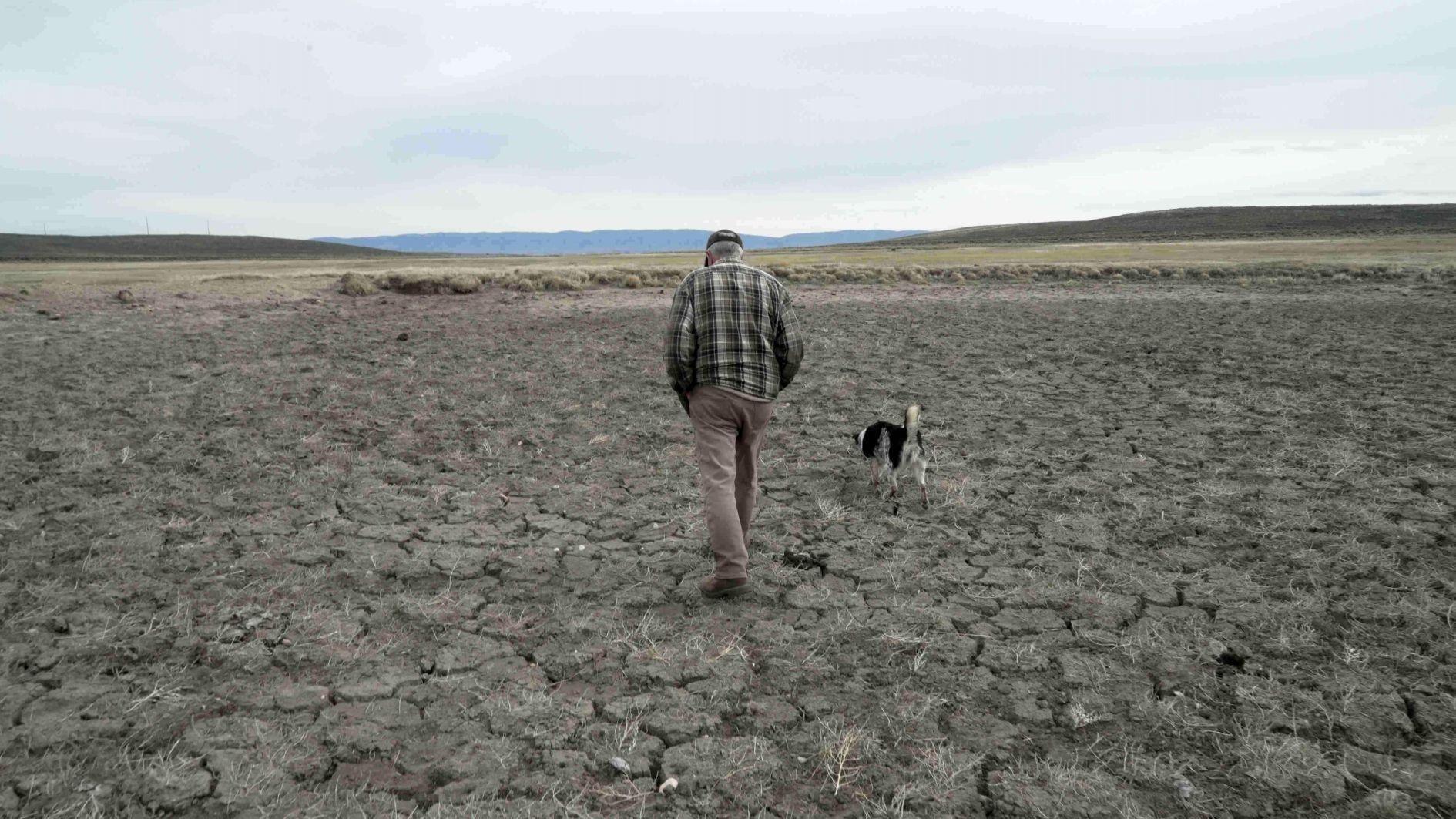 Record US drought sparks worries about food prices