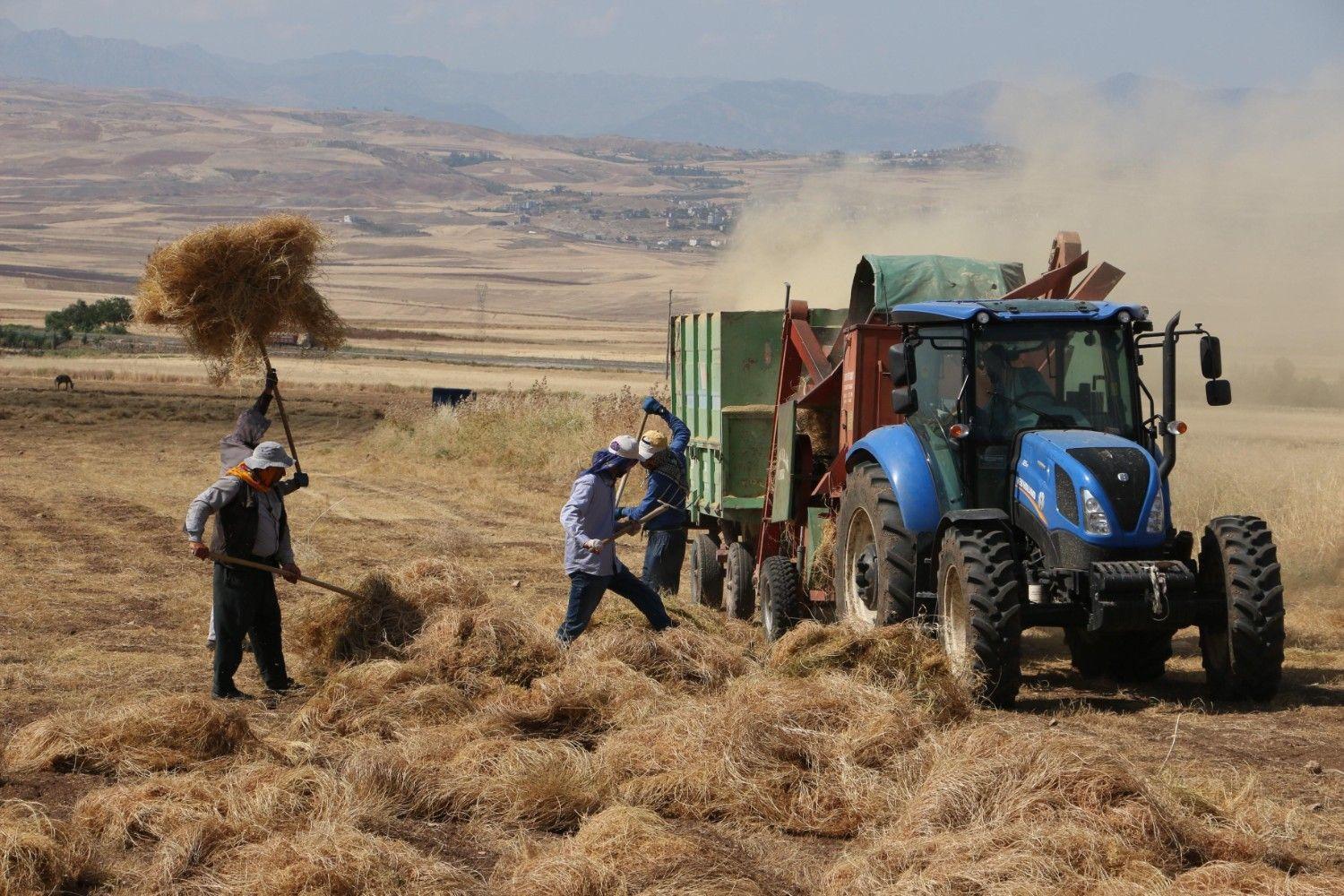 Agricultural input prices up 31.6 percent annually: TÜİK