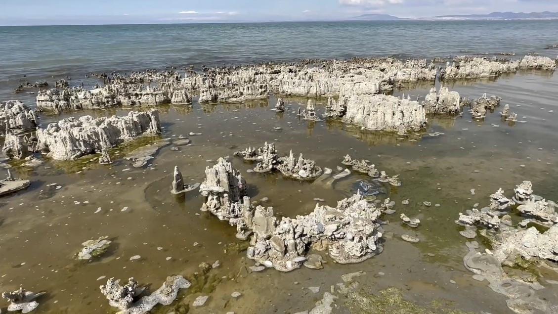 Van Lake microbialites advance in Guinness World Records bid