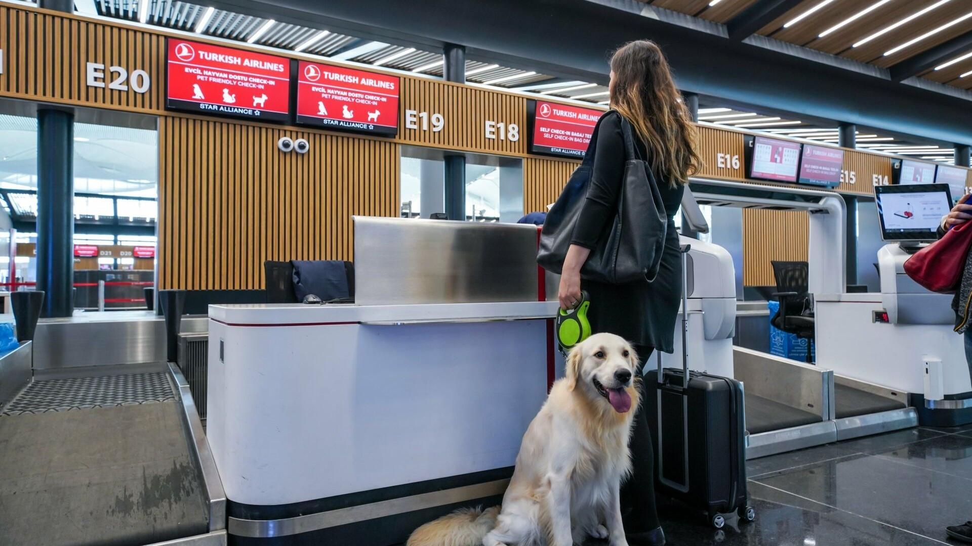 Türkiye targets booming pet-friendly tourism market to boost int’l growth