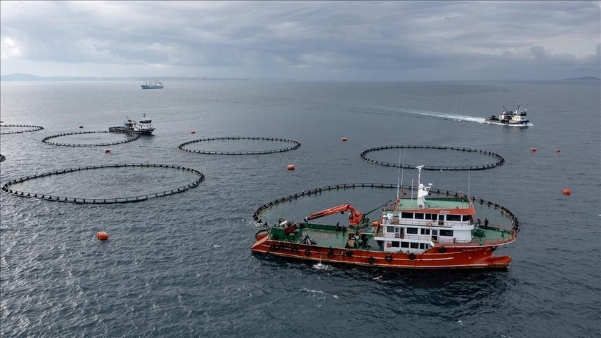 Türkiye targets $2.5 billion in seafood exports for 2026