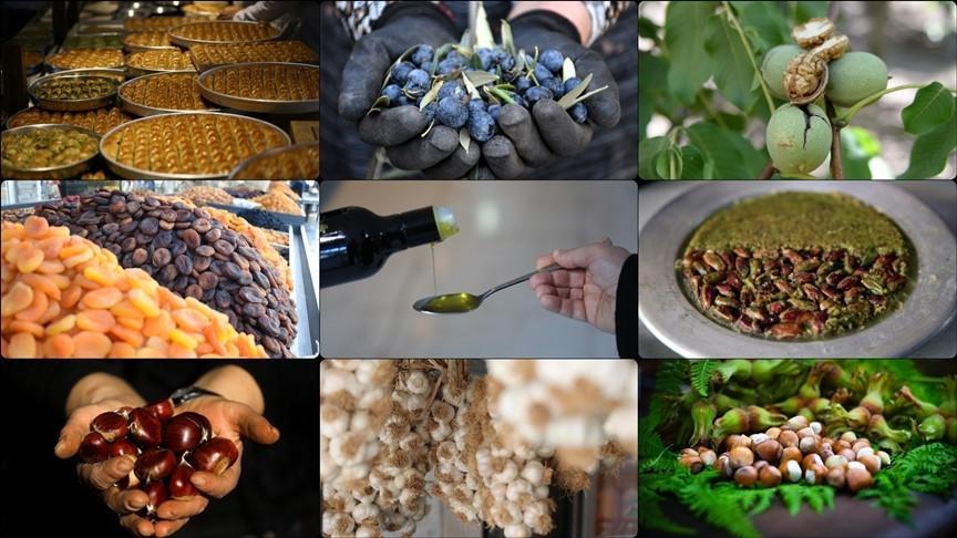 EU registration of Turkish geographical indications accelerates