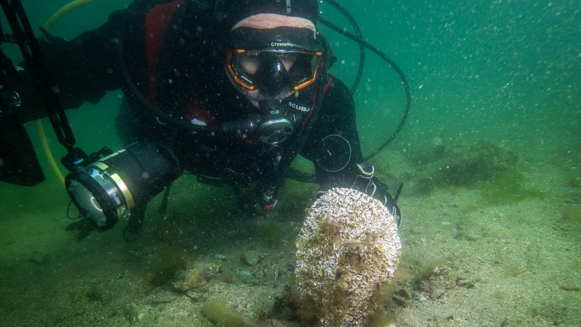 Hidden marine refuge emerges on Istanbul’s industrial coast