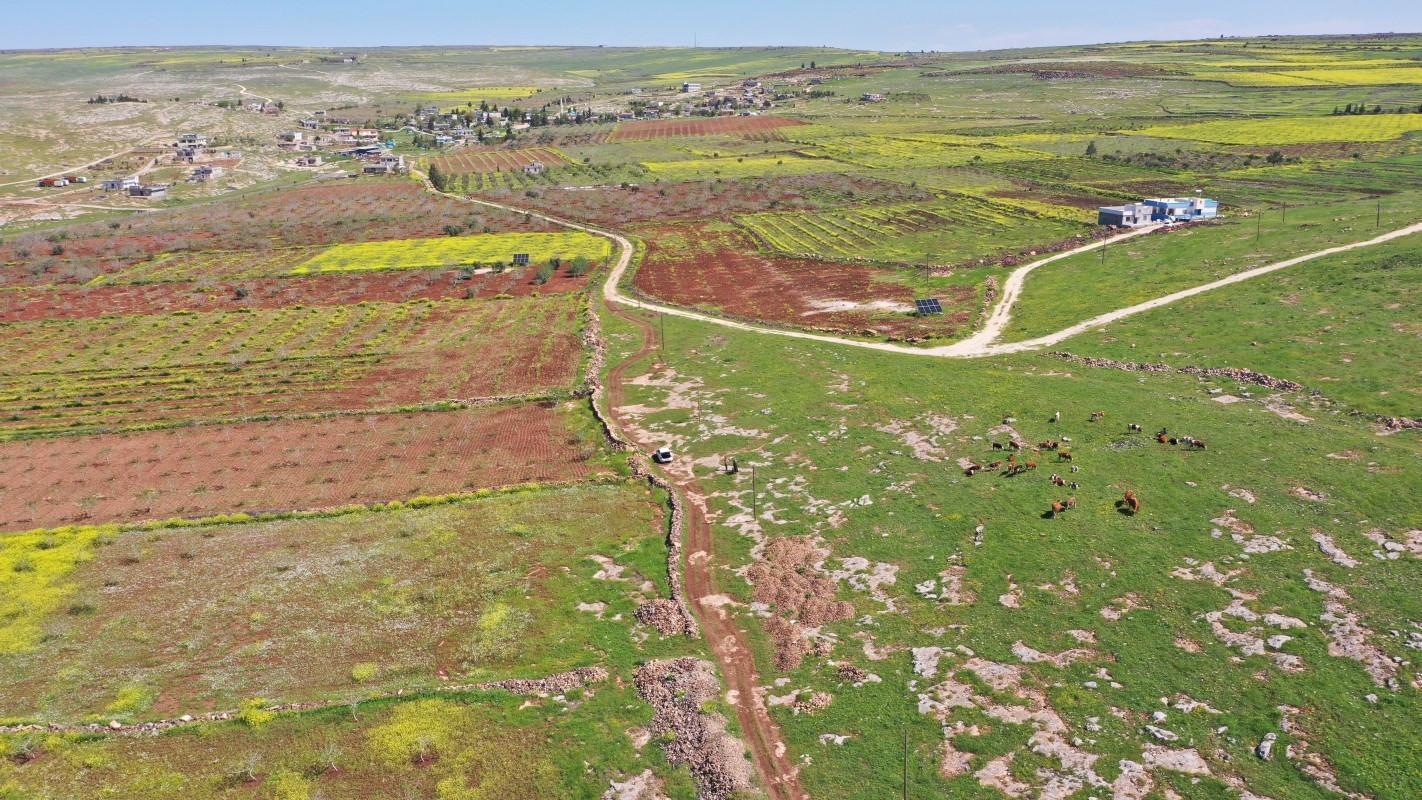Japanese, Chinese archaeologists to join Neolithic digs