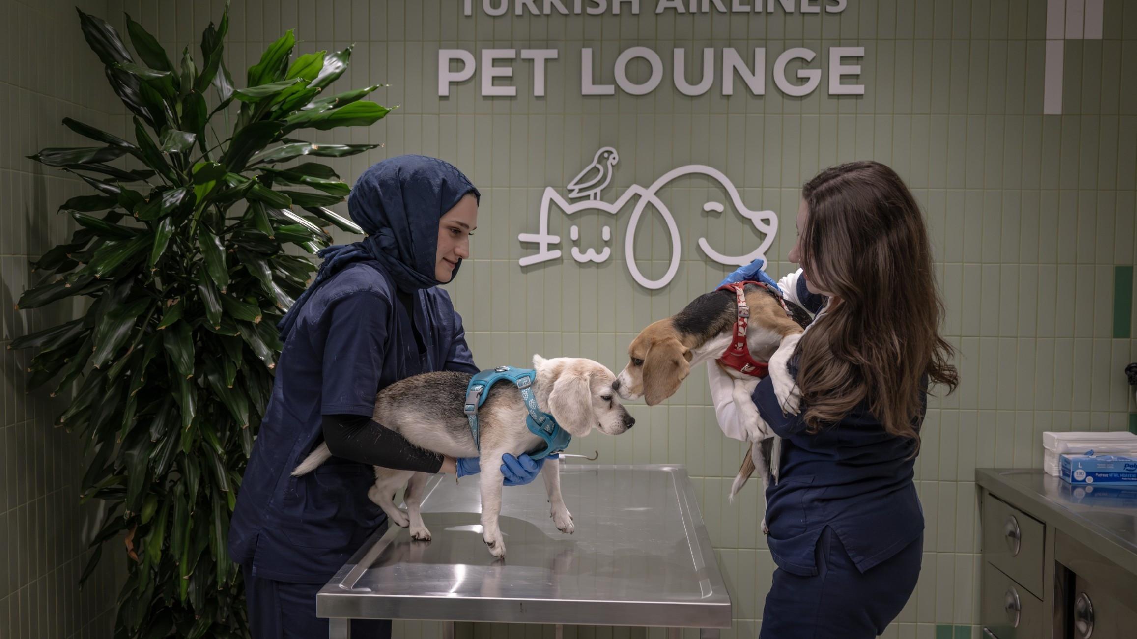 Turkish Airlines expands pet comfort at Istanbul Airport