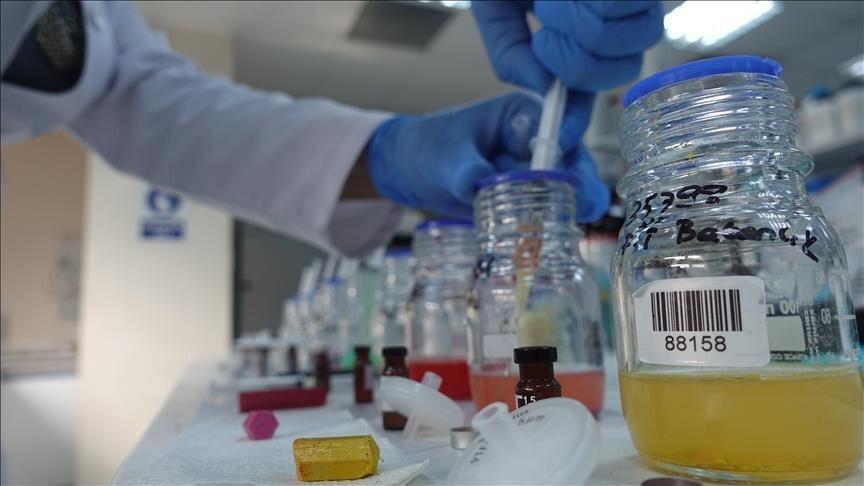 Chemical sector remains second‑largest exporter