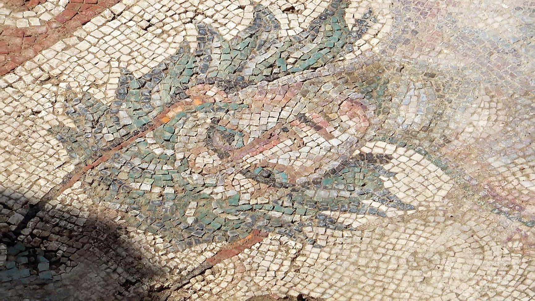 Roman-era mosaic resembling ‘Gypsy Girl’ unearthed in Tokat
