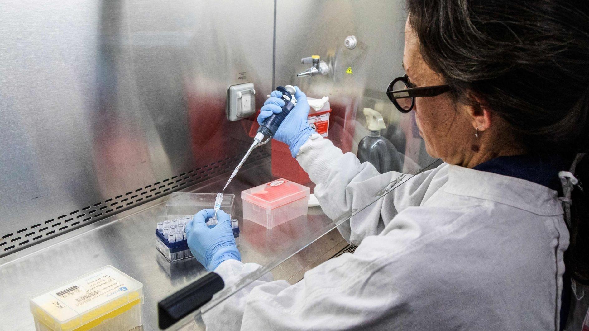 First hantavirus infection could not have been during cruise: WHO expert