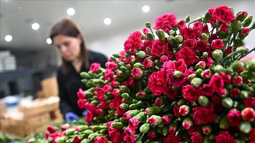 Mother’s Day to drive $9 bln in e-commerce volume