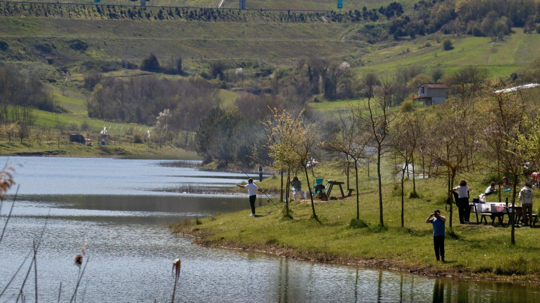 Scenic old road emerges as alternative spring route for nature lovers
