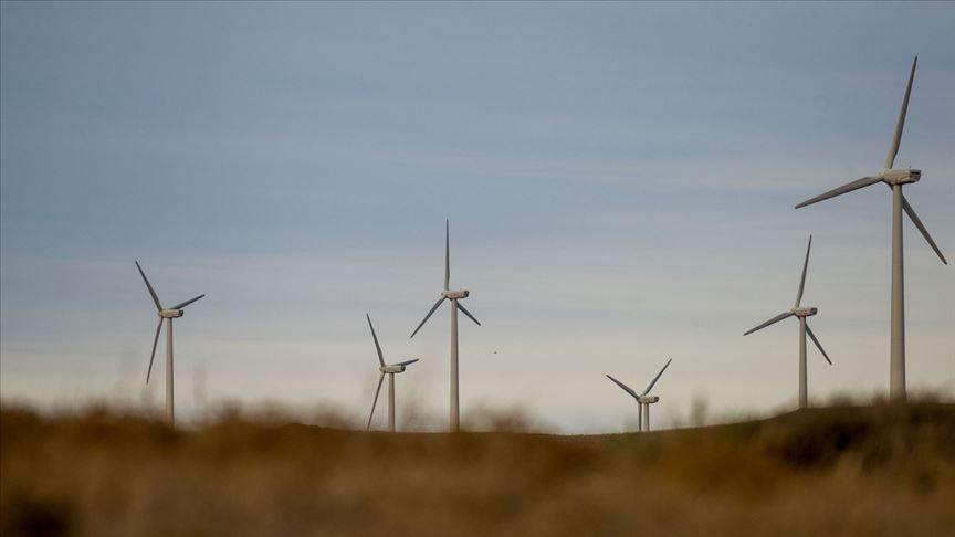 Türkiye expects stronger wind power installations this year