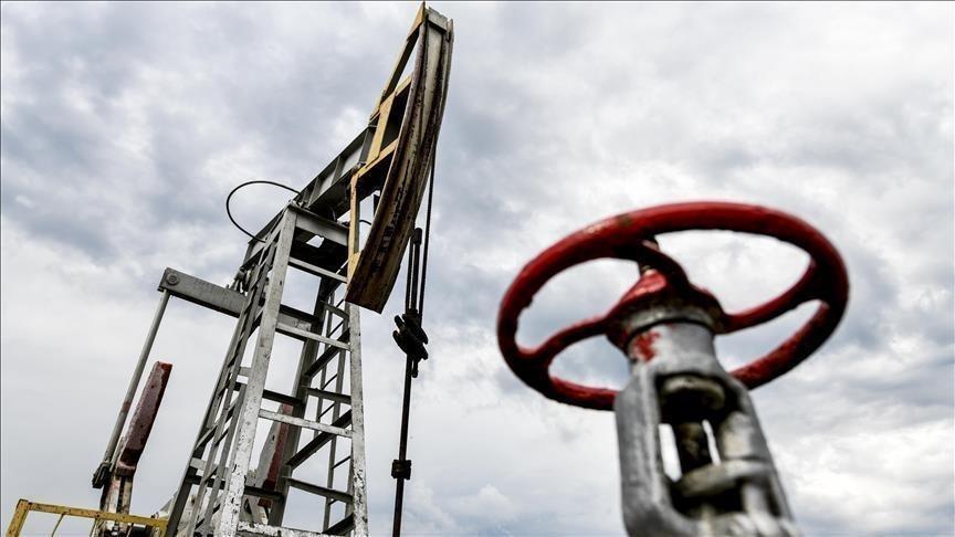 Türkiye’s oil imports rise 7.8 percent in March