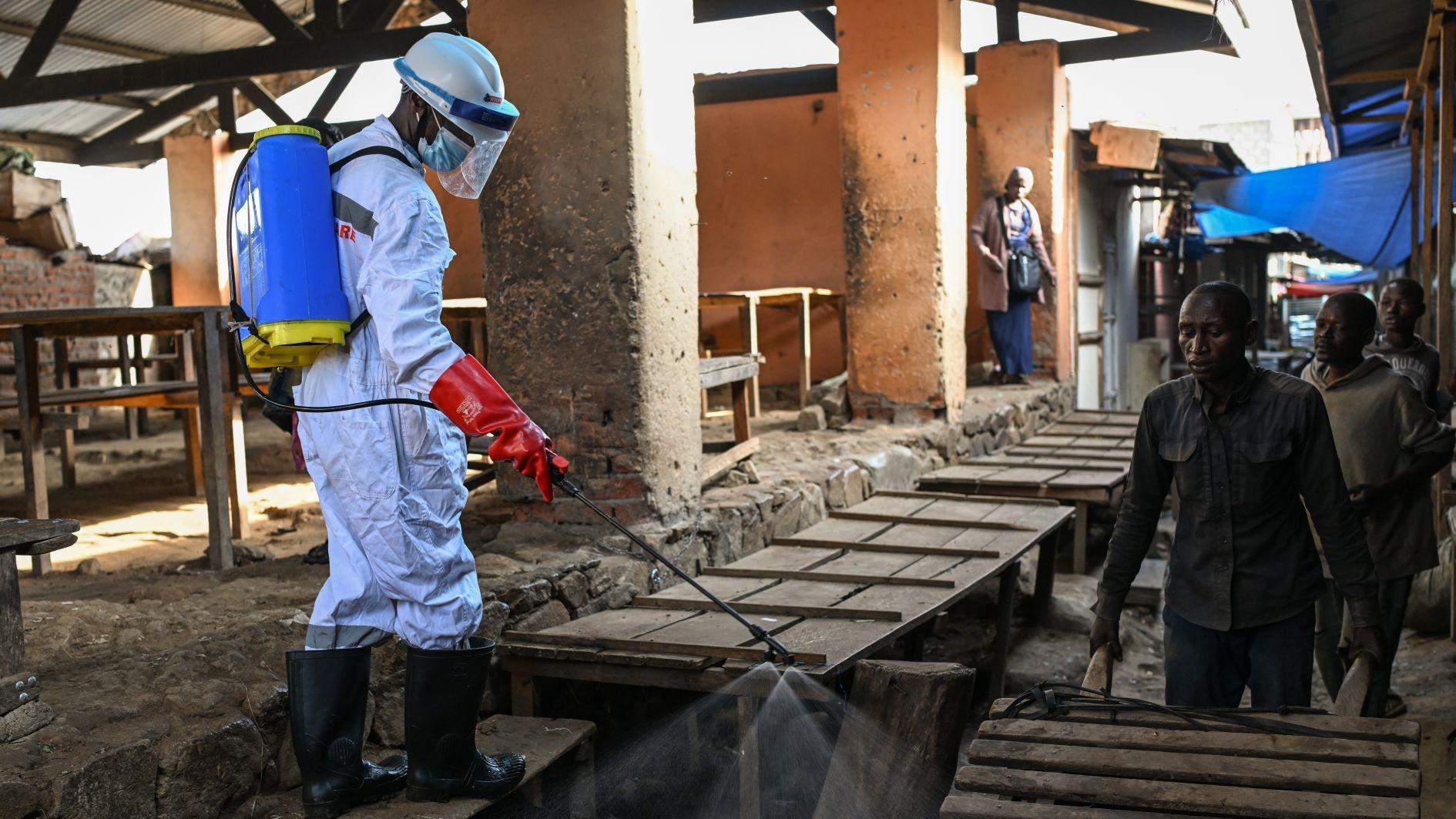 Ebola toll tops 200, other African countries seen at risk