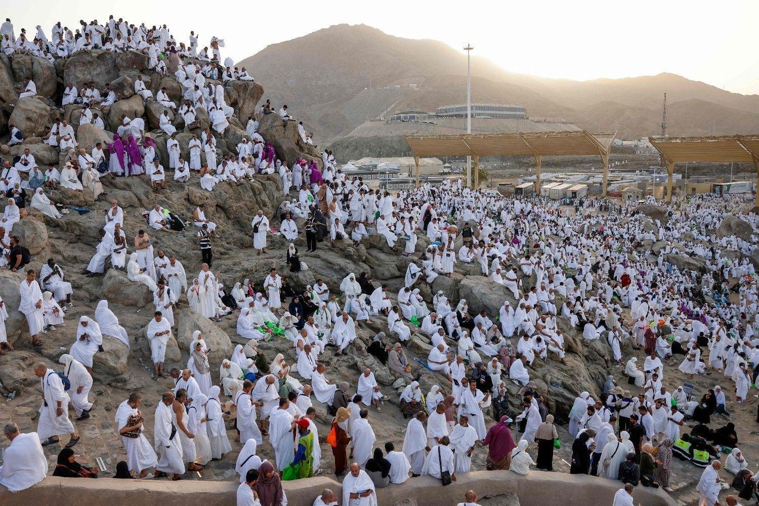Pilgrims pray on Mount Arafat as hajj reaches peak