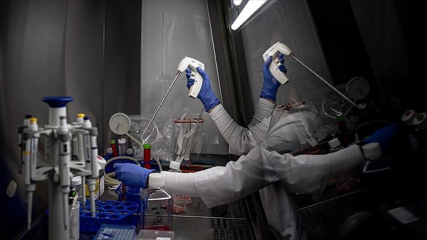 Trial offers fresh hope for patients resistant to standard cancer treatments