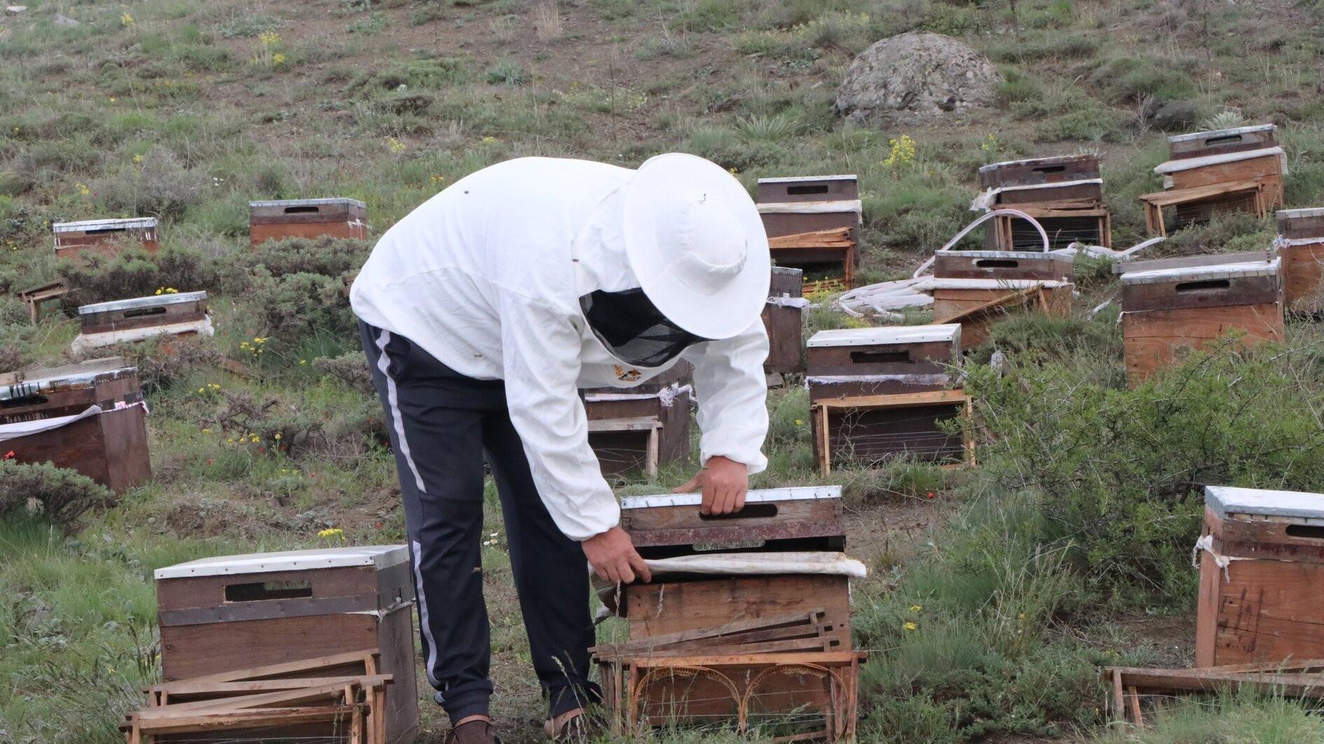 Migratory beekeepers launch honey season on Yozgat plateau