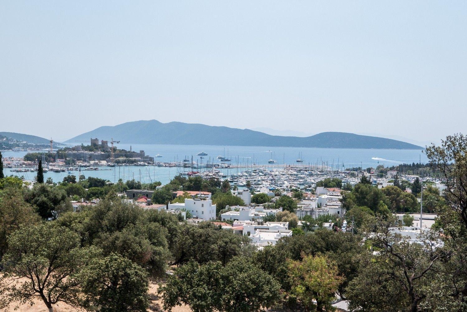 Türkiye’s coastal property market sees strong growth