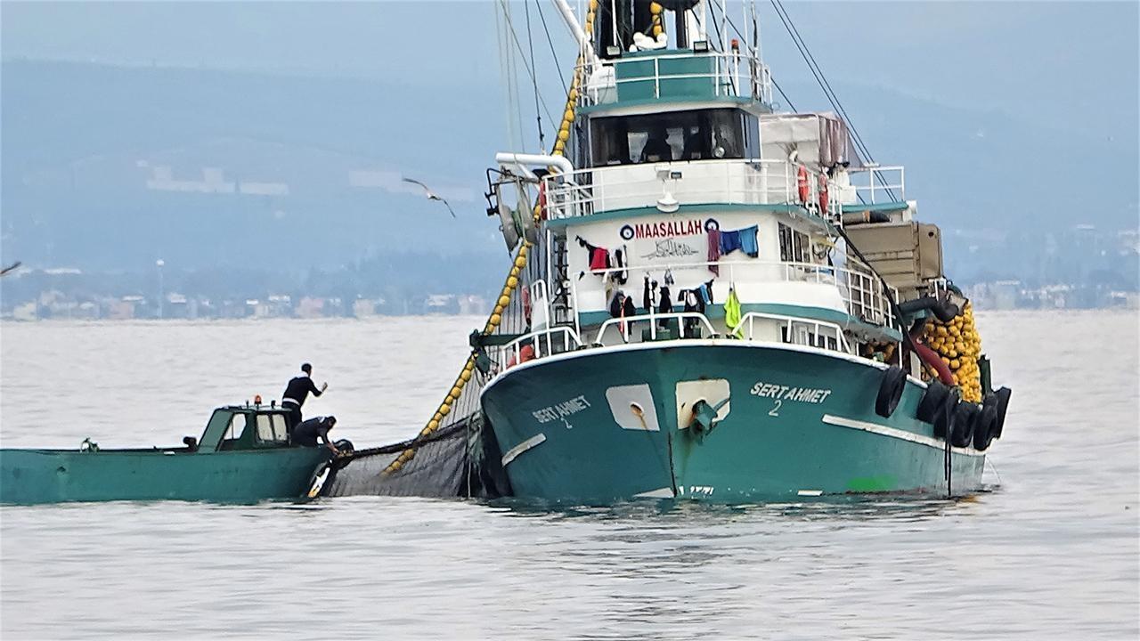 Türkiye launches action plan against illegal fishing