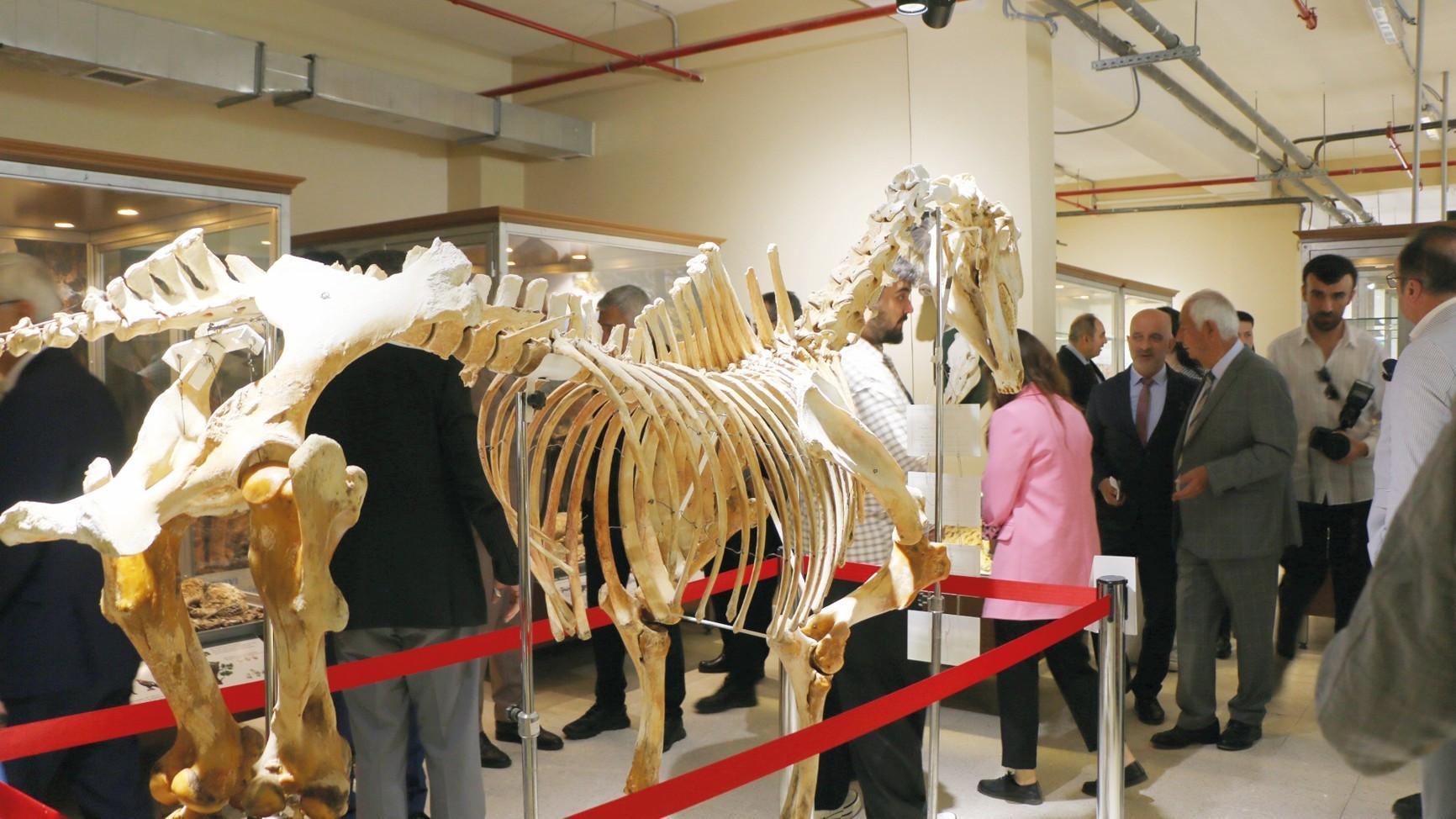 Zoology Museum reopens to visitors