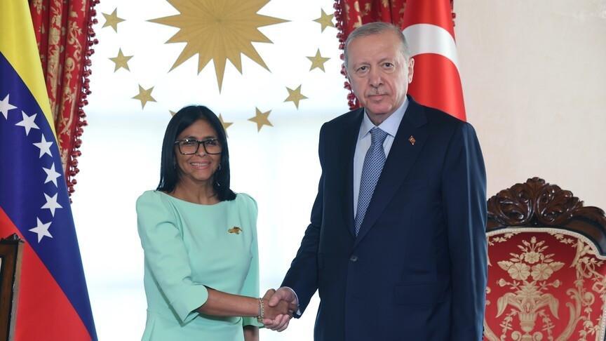 Erdoğan receives Venezuelan acting president in Istanbul