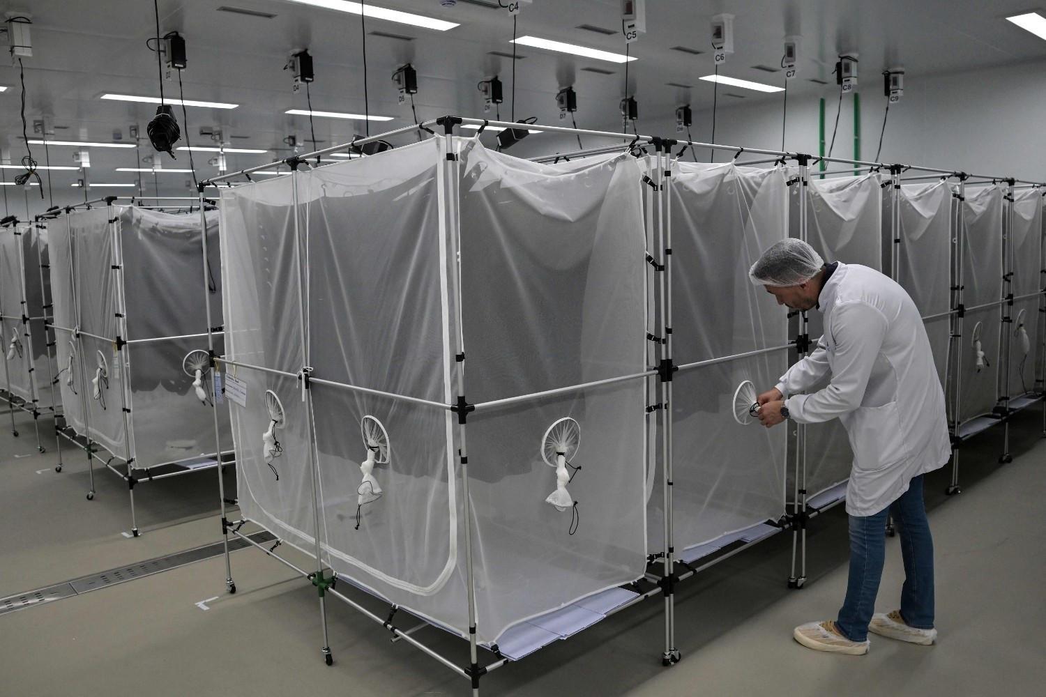 Brazil suspends dengue vaccine following two deaths