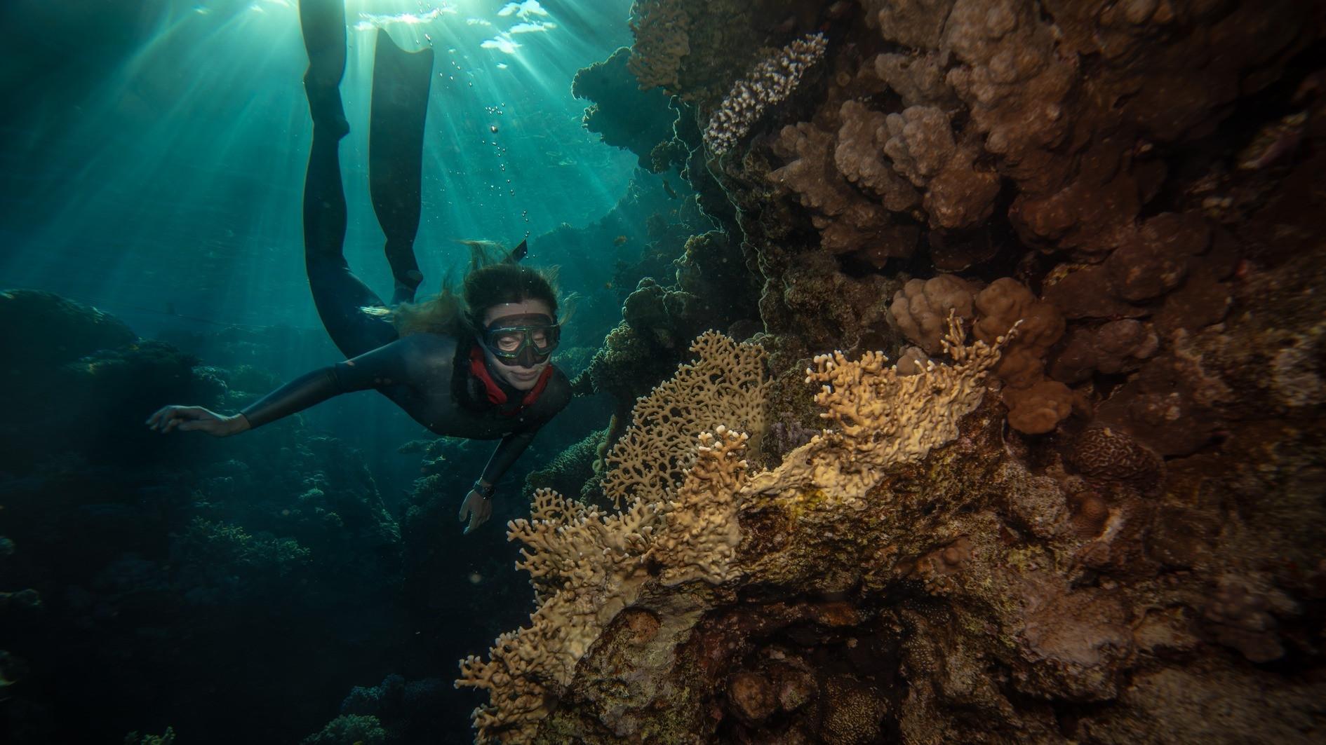Turkish free diver raises awareness for coral reefs on World Oceans Day