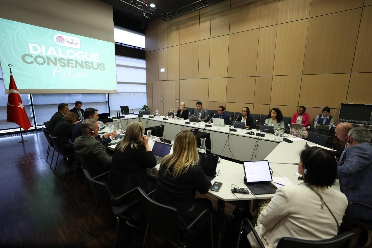 ‘Electrification’ at heart of Tükiye’s COP31 agenda