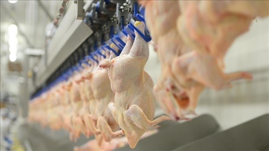 Major Turkish chicken producers hit by trustee appointments, high-level arrests