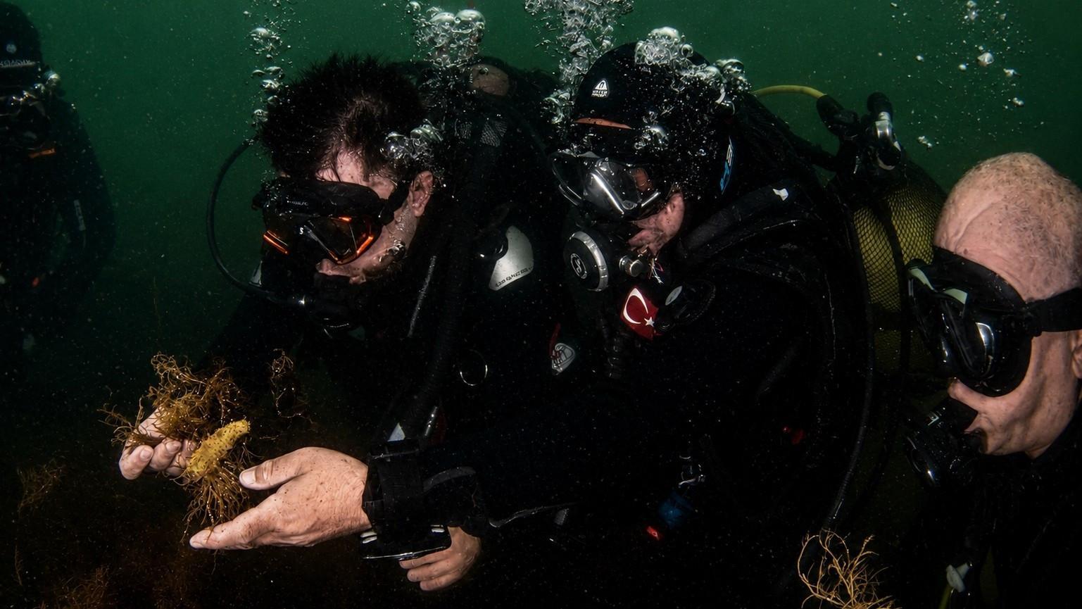 Marine life returns to İzmit Bay as massive cleanup hits 70 pct: Minister