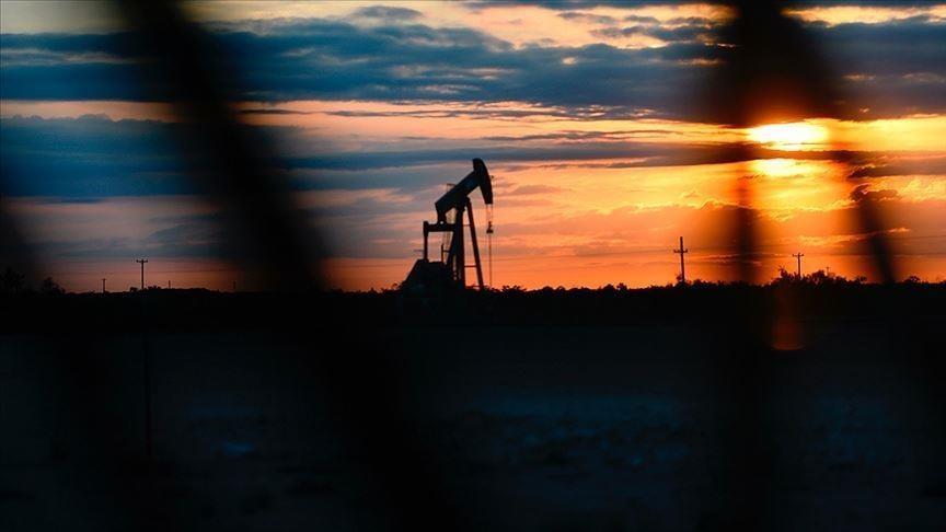 Oil stocks of OECD countries fall to lowest level since 1990: IEA