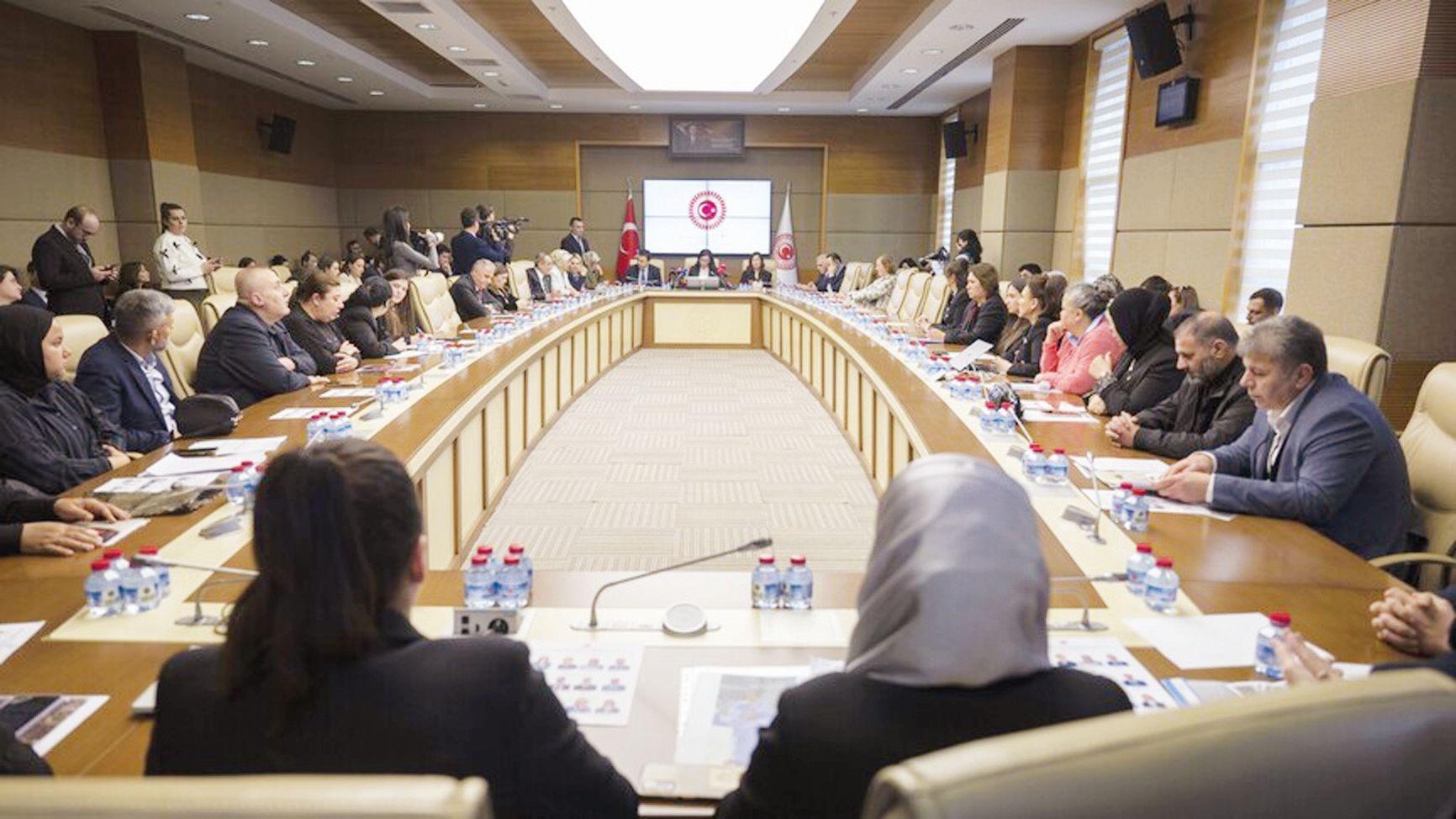 Parliamentary panel report urges tougher penalties for minors