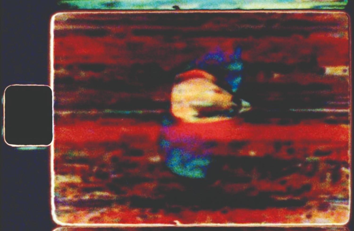 Salt Beyoğlu screenings to examine link between cinema, nature