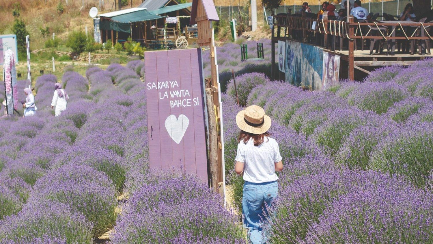 Sakarya hosts first Culture Route Fest