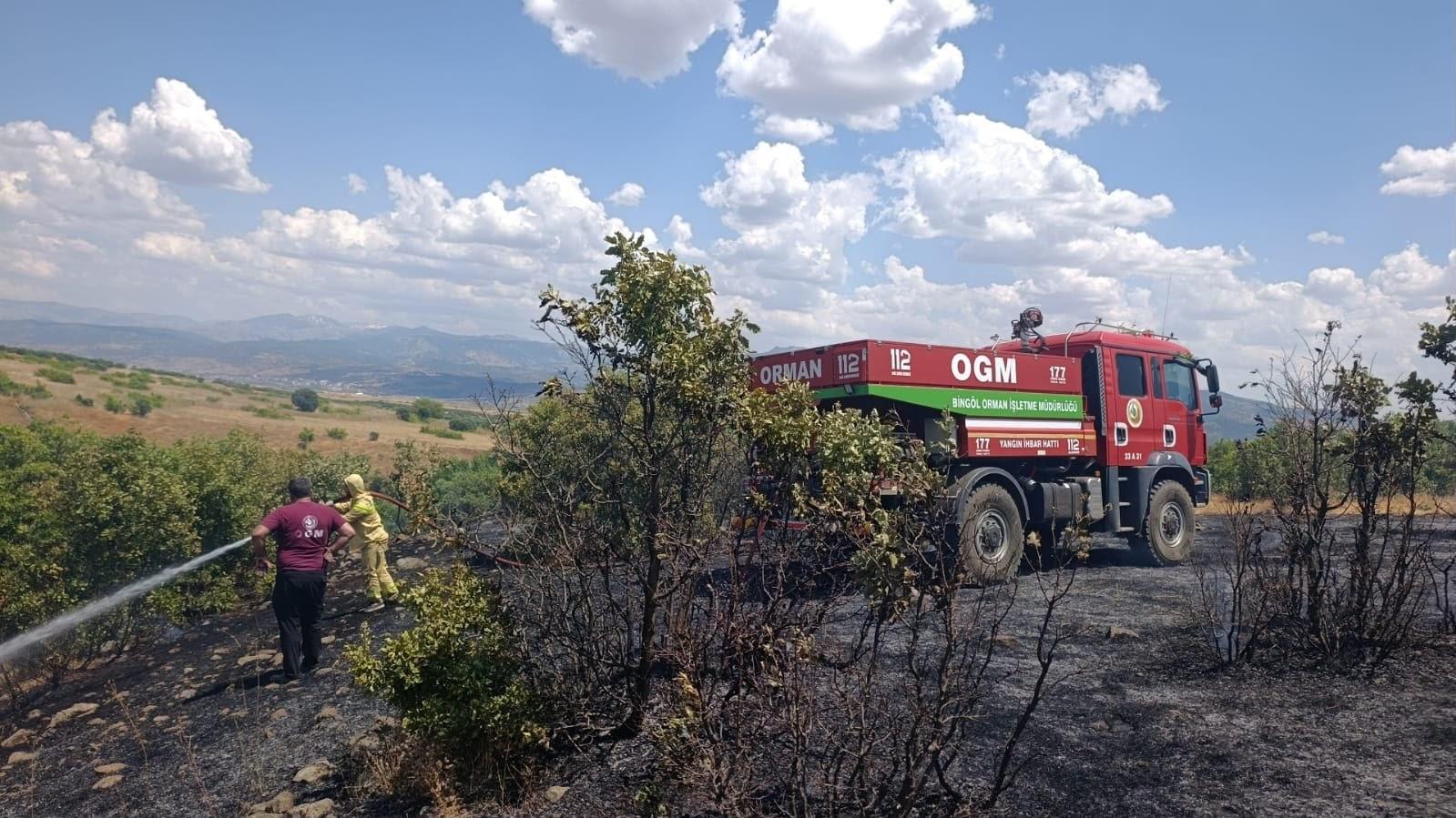 Winter rains delayed Türkiye’s wildfire season but expert warns risk persists