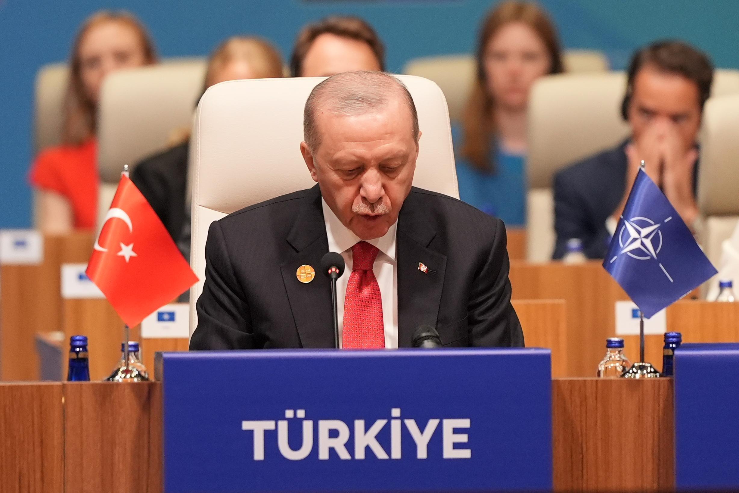 Erdoğan says Türkiye aims to meet NATO spending goal early