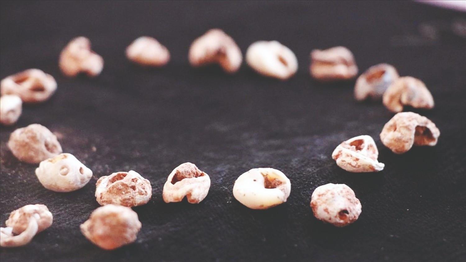 Neanderthals, modern humans shared cultural traditions in Türkiye