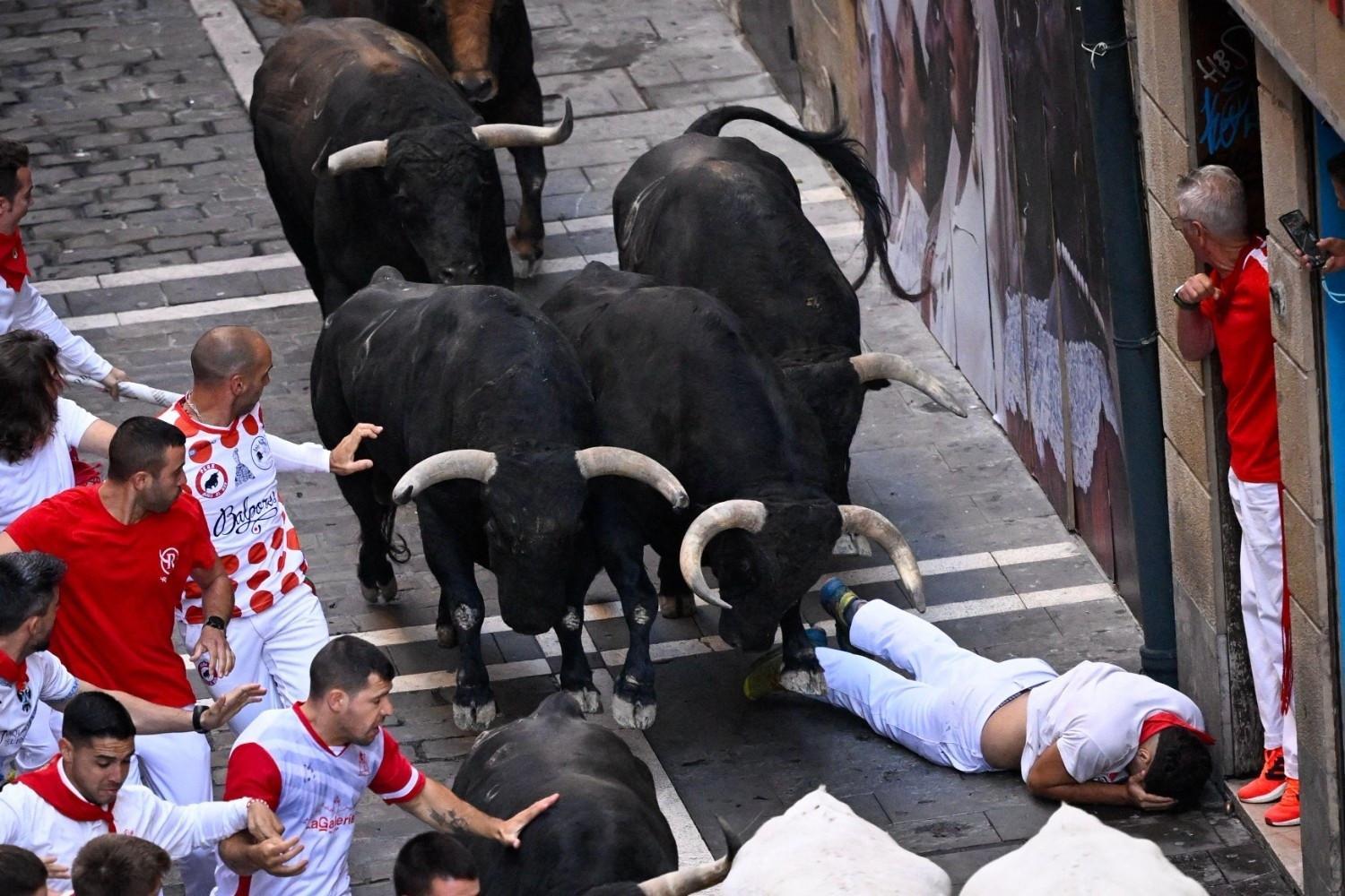 7 gored or bruised during San Fermin bull runs