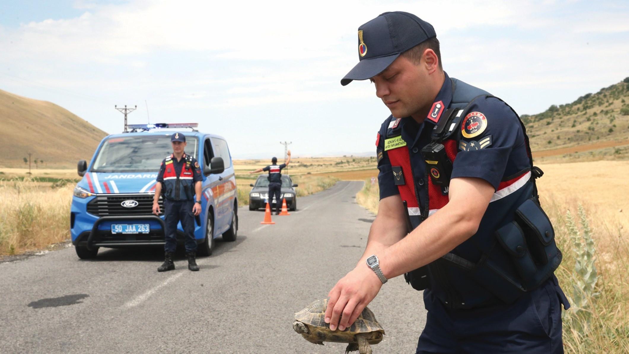 Gendarmerie patrols ‘Tortoise Valley’ to protect wildlife